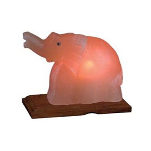 Crafted Salt Lamp