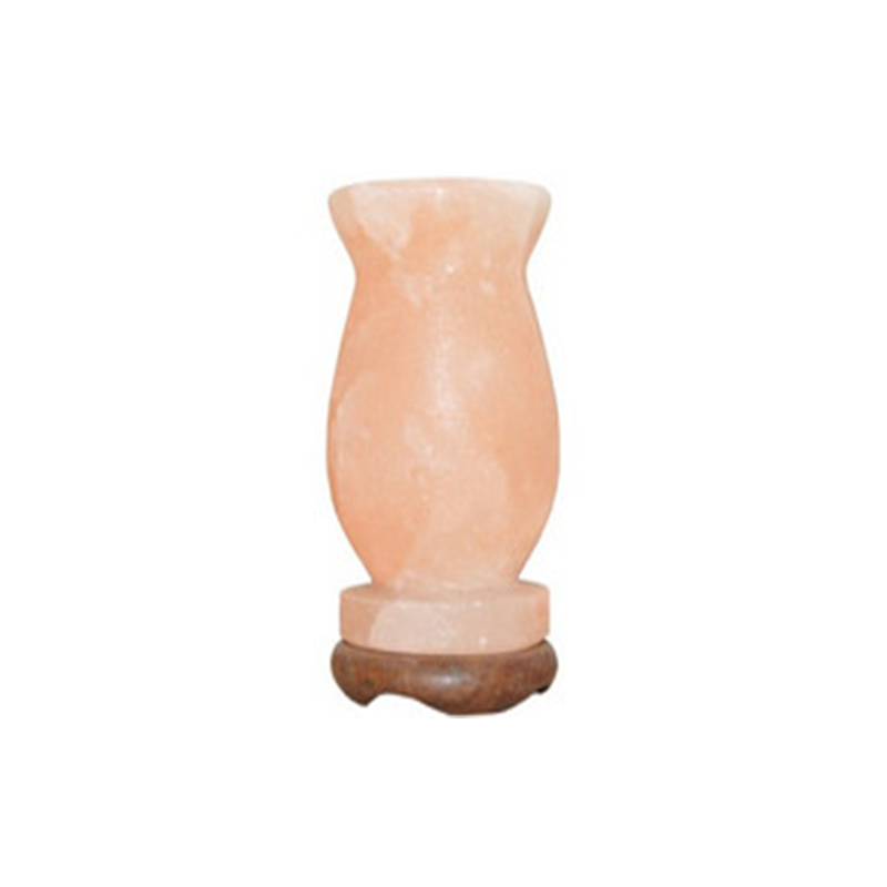 Crafted Salt Lamp