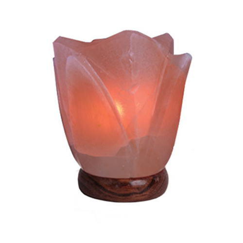 Crafted Salt Lamp