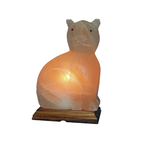 Crafted Salt Lamp