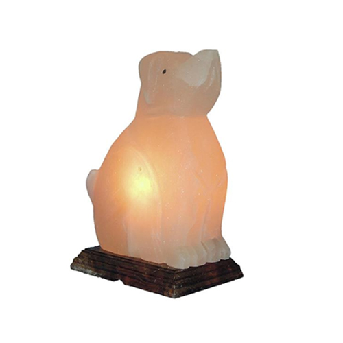 Crafted Salt Lamp