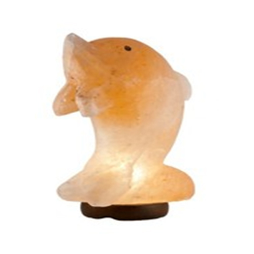 Crafted Salt Lamp